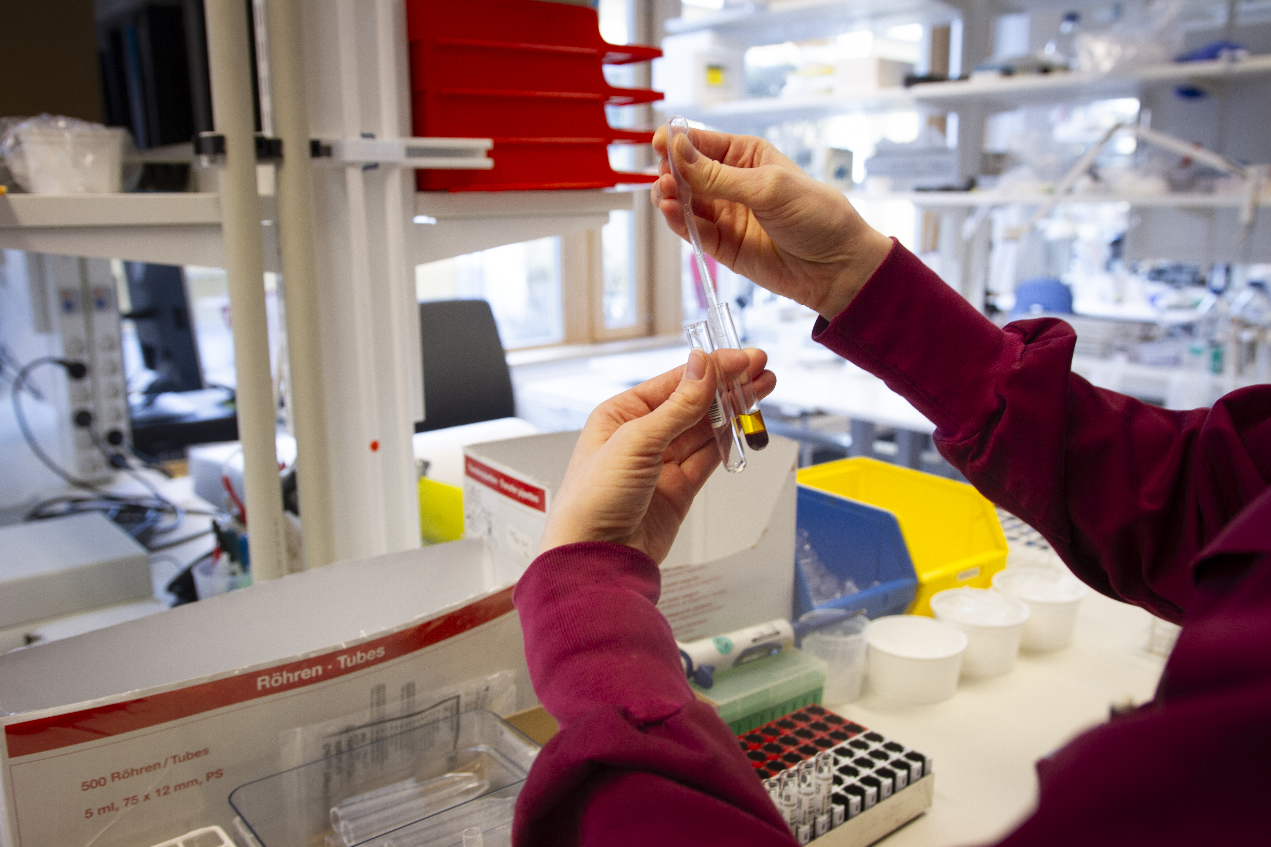 The image shows an analysis of samples