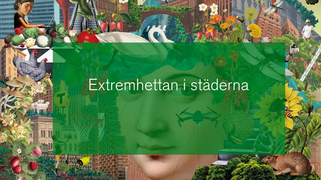 Illustration från Urbana landskap.