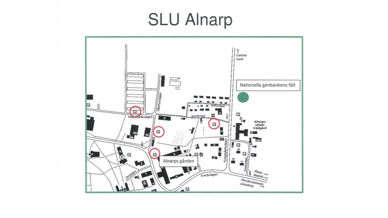Karta över Campus Alnarp med aulan och Nationella genbankens centrala samling markerade. 
