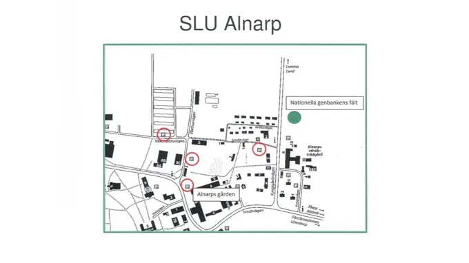 Karta över Campus Alnarp med aulan och Nationella genbankens centrala samling markerade.