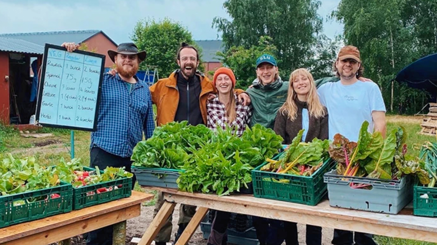 A group of people selling vegetables. Photo.