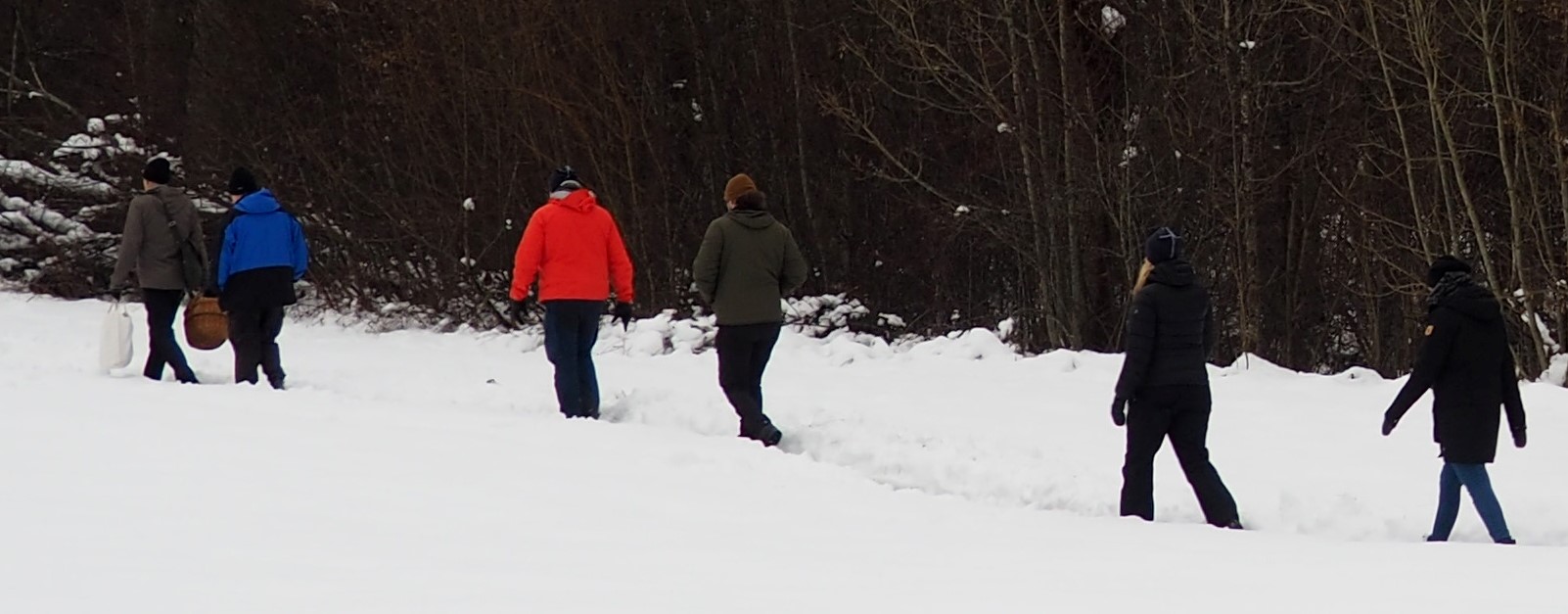 En grupp människor går i rad i snön längs en vandringsled. Skogen ligger mörk i kontrast till den vita snön. 