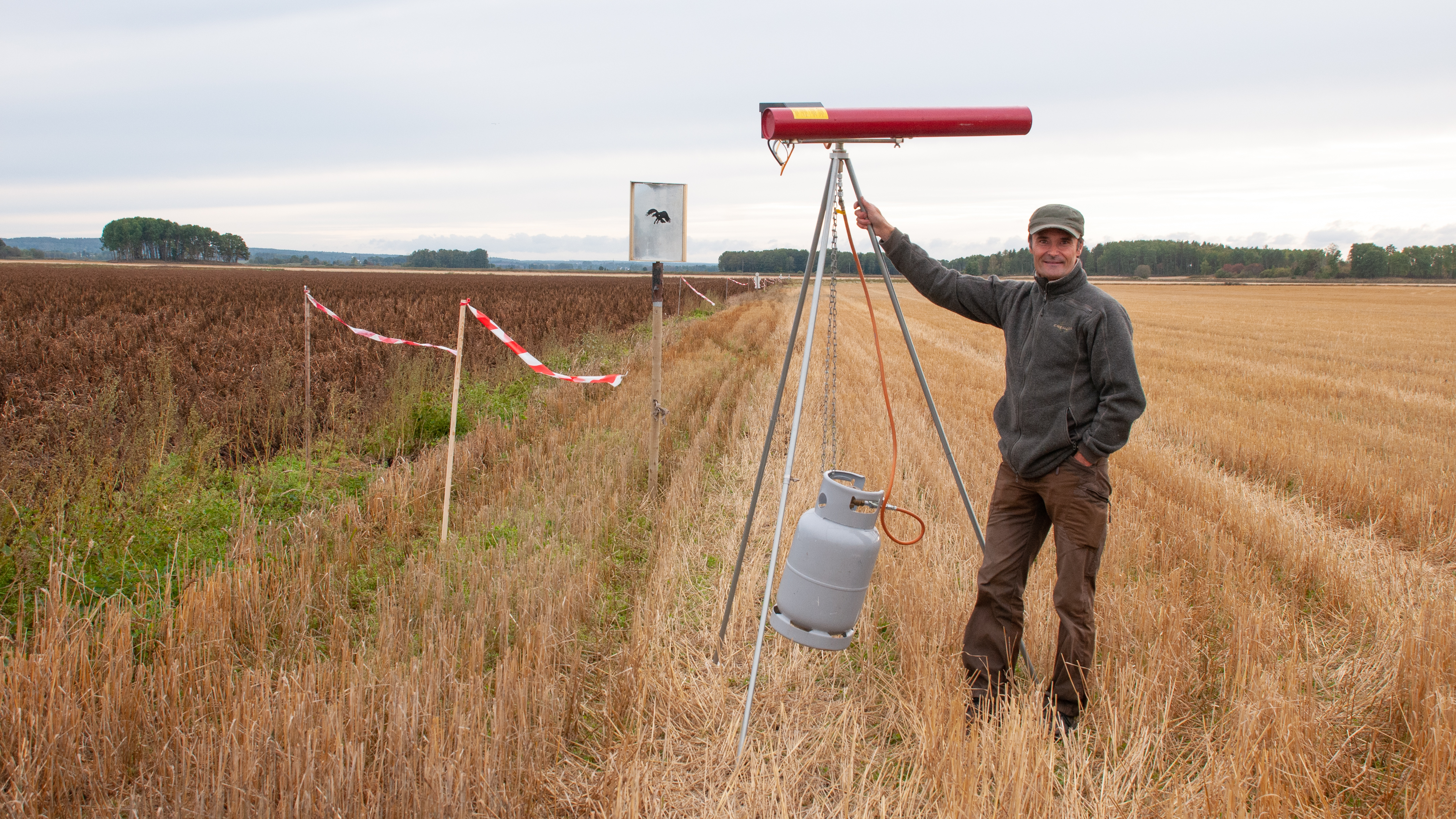 En man står vid en gasolkanon och vimplar på en stubbåker. 