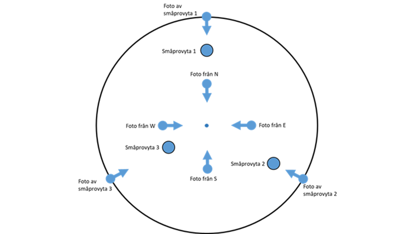 Illustration över hur provytan och småprovytan fotograferas