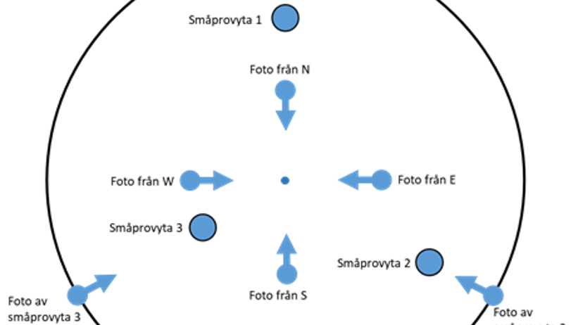 Figur 2. Illustration över hur provytan och småprovytan fotograferas