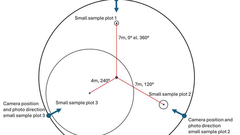 Plot