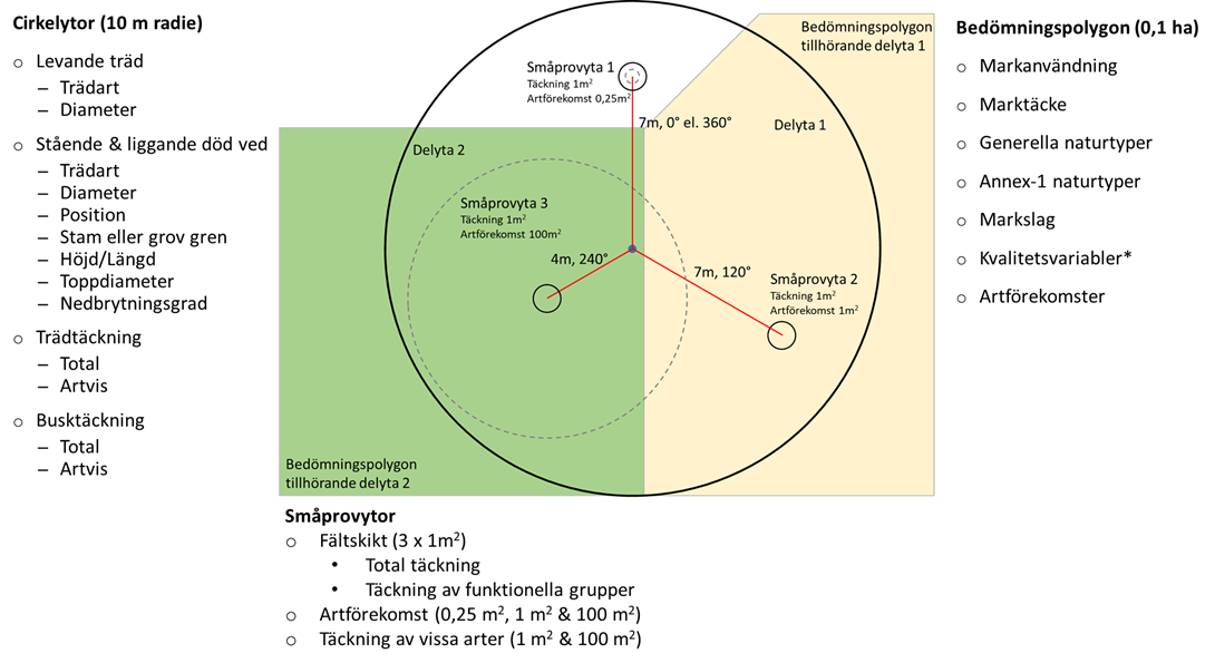 Provytestorlekar och variabler