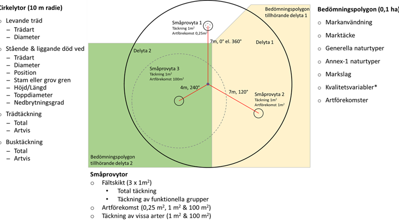 Provytestorlekar och variabler