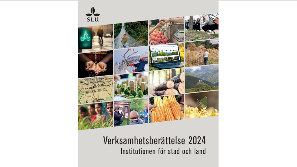 Cover to the annual report for 2024.