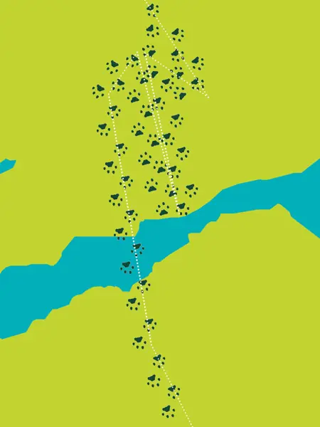 Karta över mellansverige med lodjursspår, som visar riktningar djuret gått i sin vandring. Illustration.