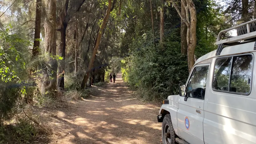 Photo of a car parked in the wild in Ethiopia during fieldwork.