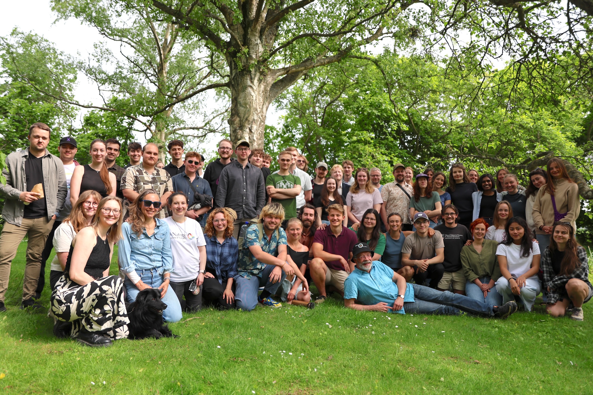 studenter står i grupp under ett träd