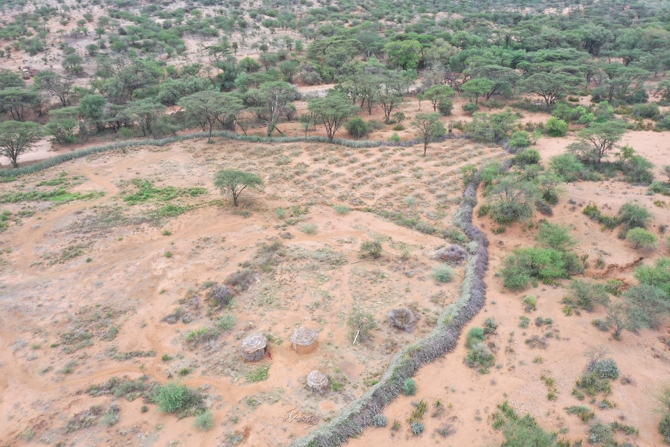 Drylands