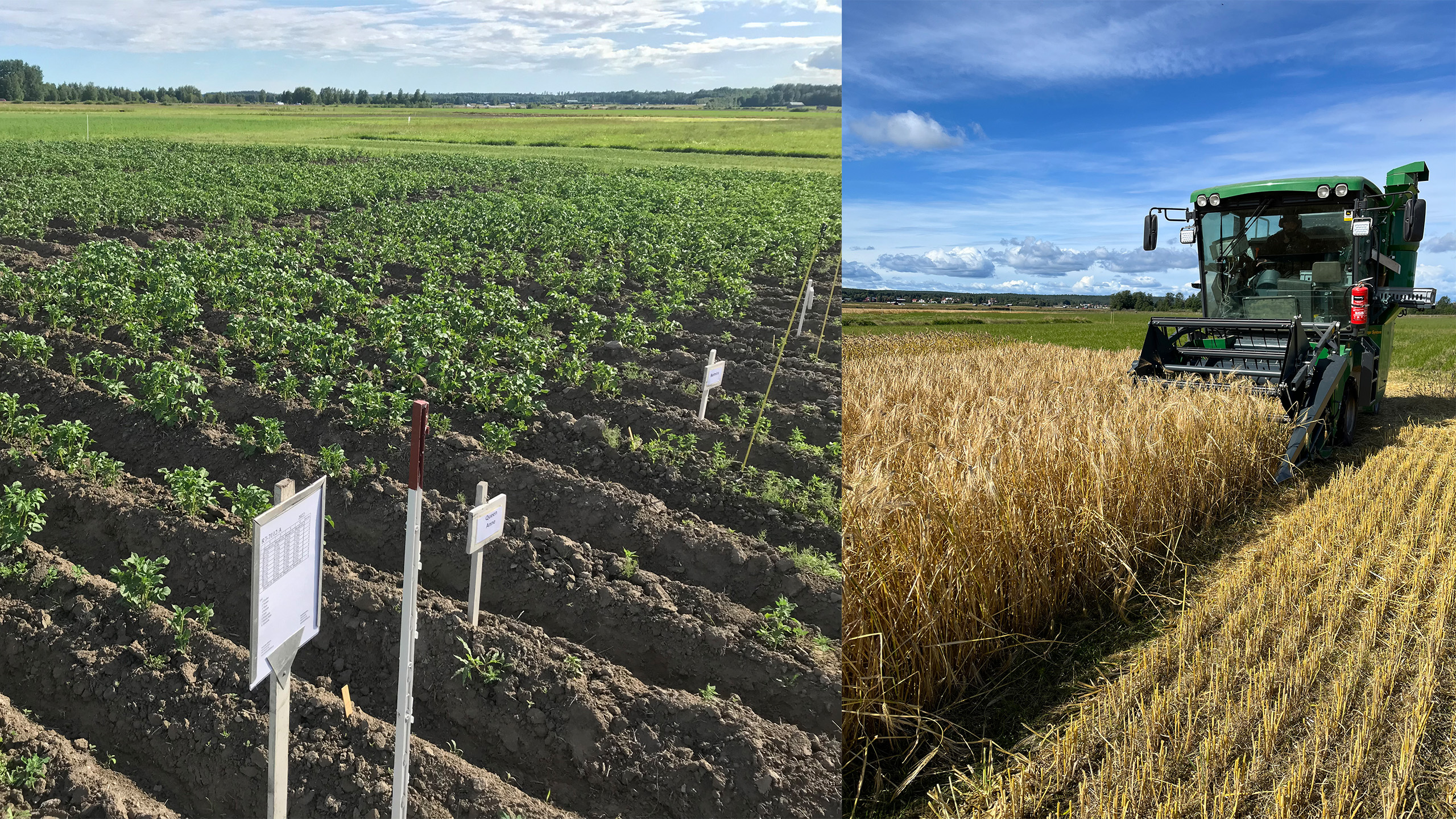 Kollage med två foton på försök i åkermark.