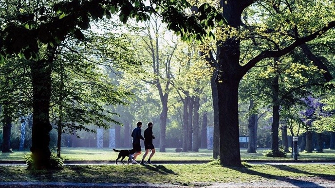 Photo of people exercising outdoors in park with dog.