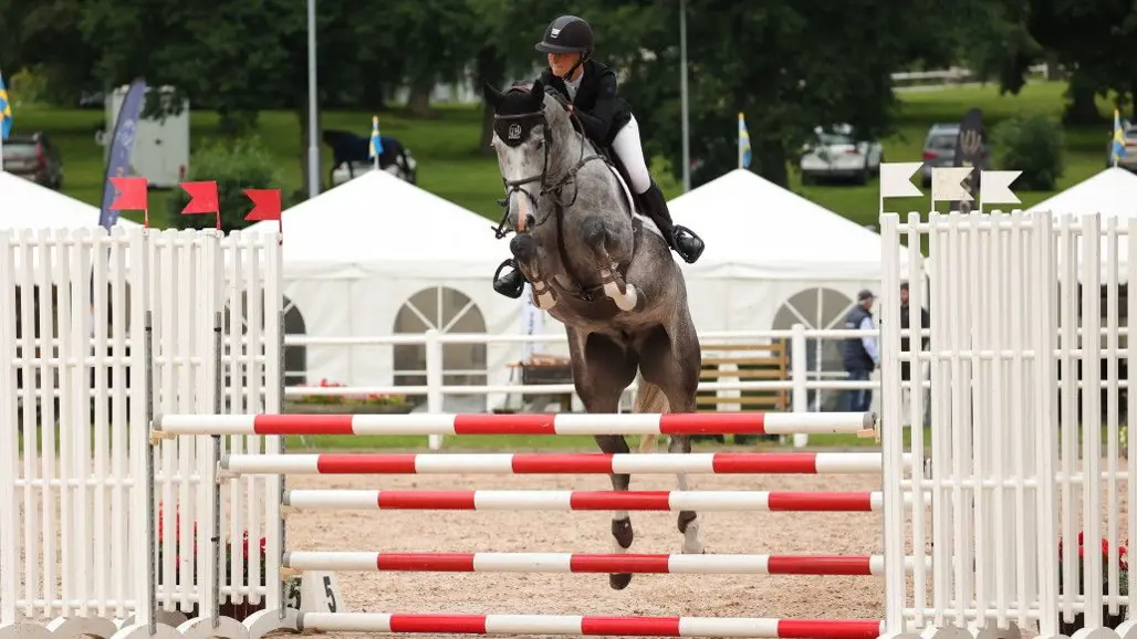 Competing horse