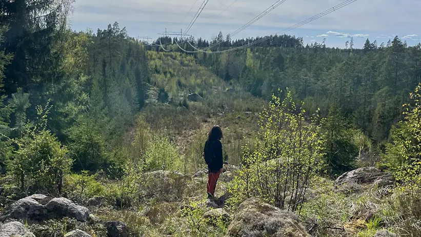 En person står på en skogsglänta under kraftledningar, omgiven av stenar och grönska. I bakgrunden syns avlägsna träd och en delvis molnig himmel. Foto.