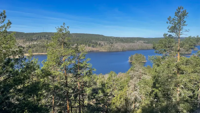 En naturskön vy över en sjö omgiven av tät skog. Höga tallar syns i förgrunden, med det blå vattnet i sjön som skymtar mellan trädstammarna. I bakgrunden reser sig skogsklädda kullar under en klarblå himmel. Foto.