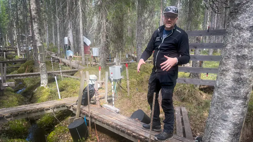 Researcher standing on boardwalks by a stream in the forest, explaining his research.