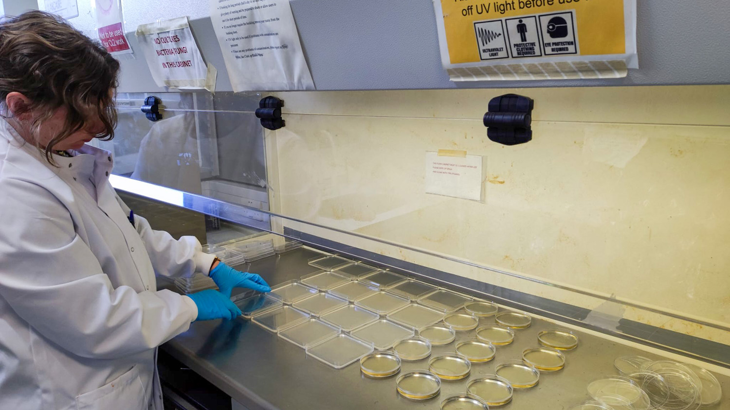 A person in a white coat is working in the lab.