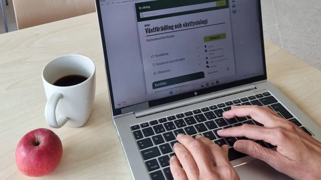 hands, a computer, an apple and a cup of coffee.