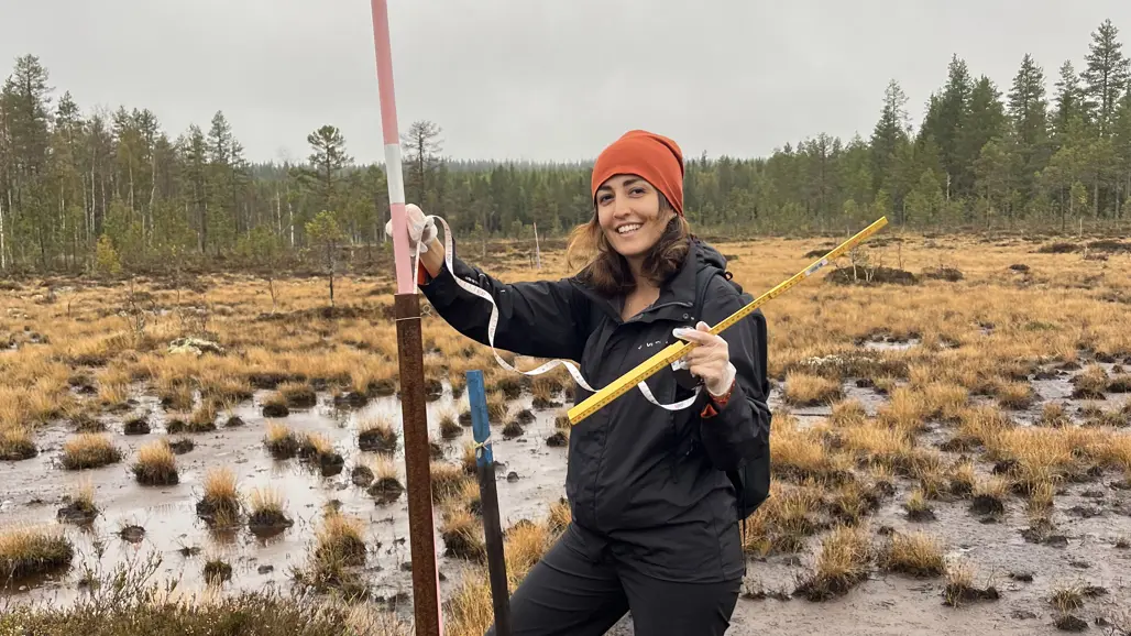 Surveying peatland outside Umeå
