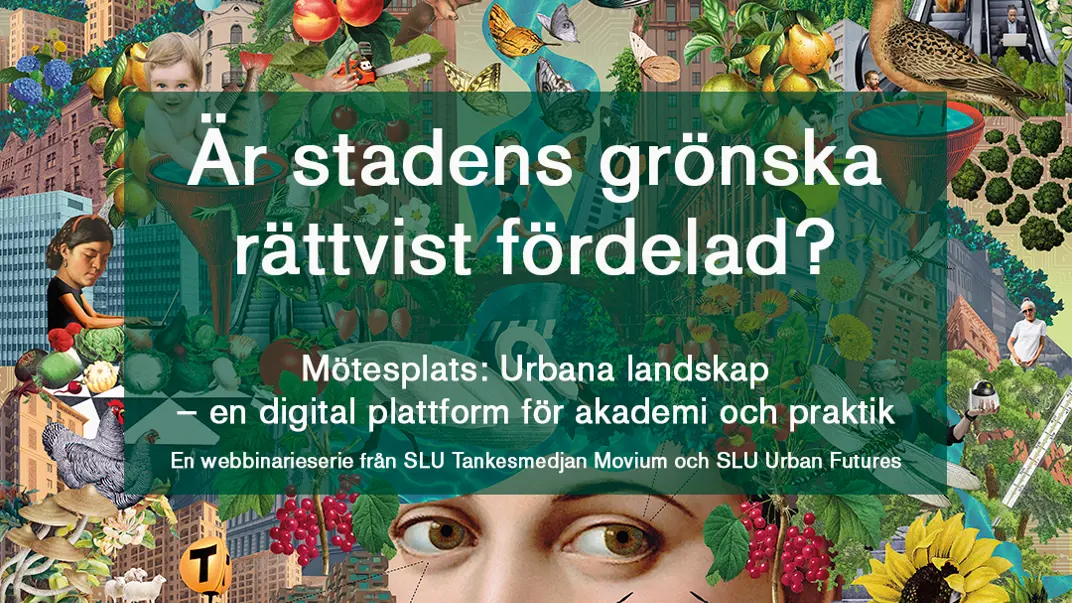 Webinar Green Equity Index
