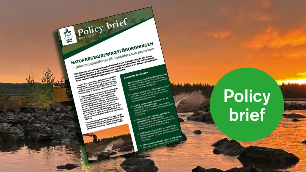Omslaget till policy briefen om naturrestaurering. Foto.