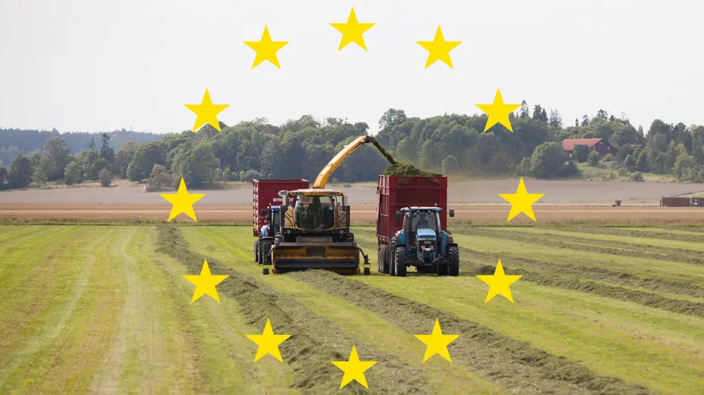 Modern höskörd, foto: SLU