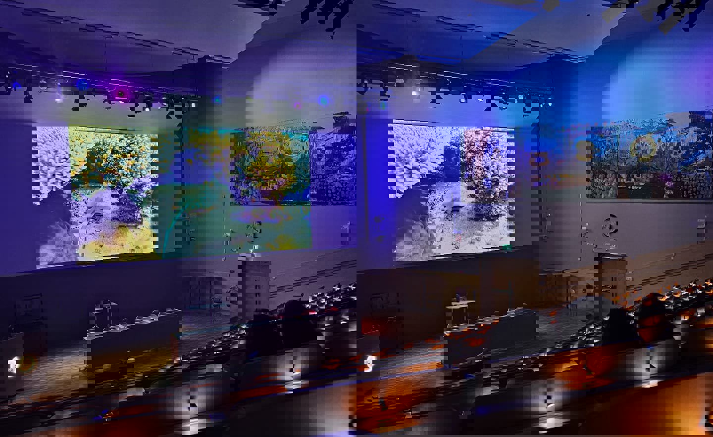 Large university lecture hall with tiered wooden seating and soft lighting, featuring a large screen displaying an underwater coral reef scene at the front.