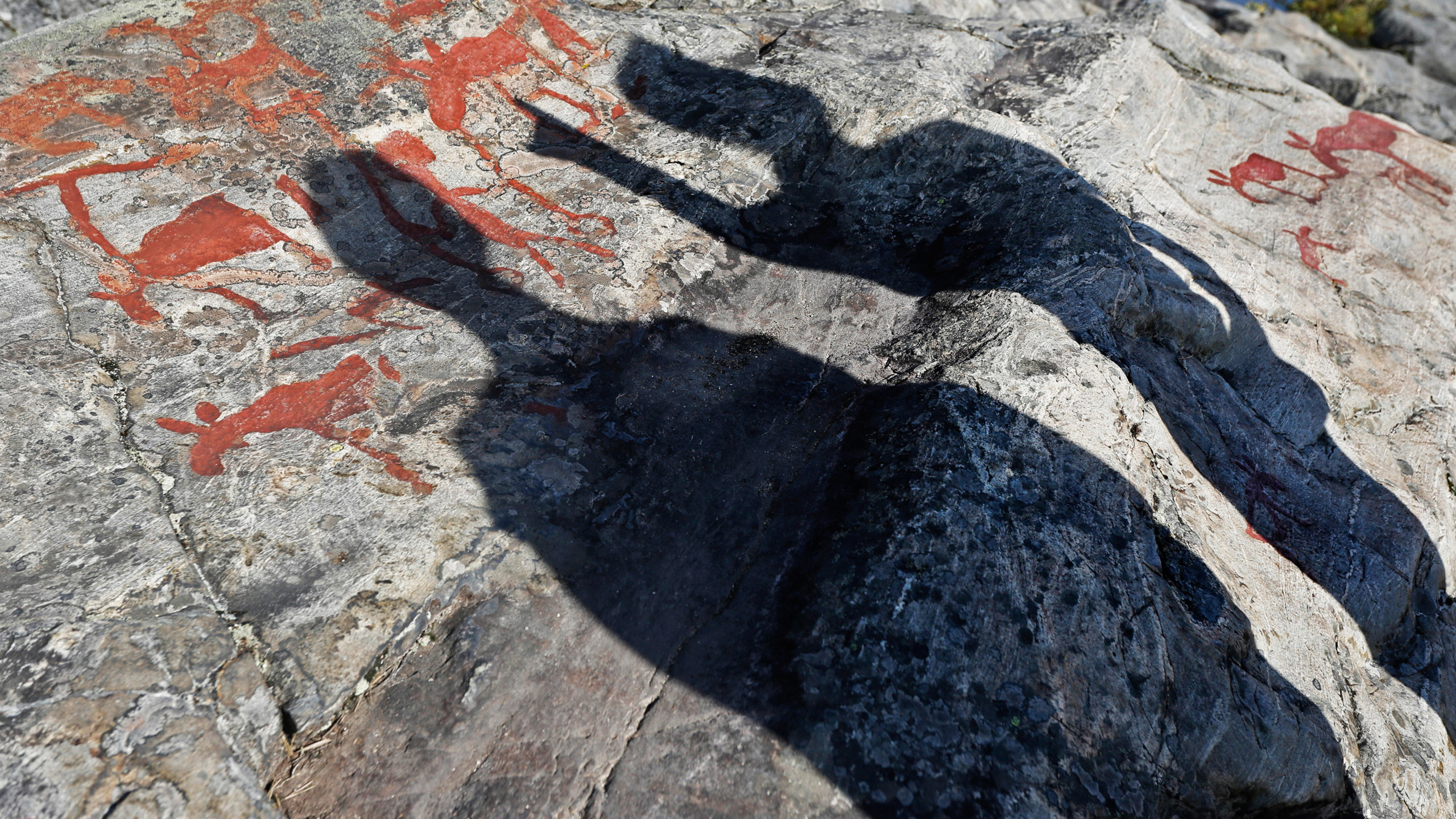 Rock carving depicting moose. Two shadows from people fall across the stone.