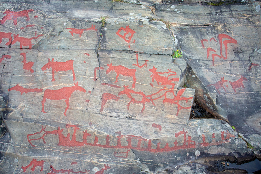 rock carving depicting moose. 