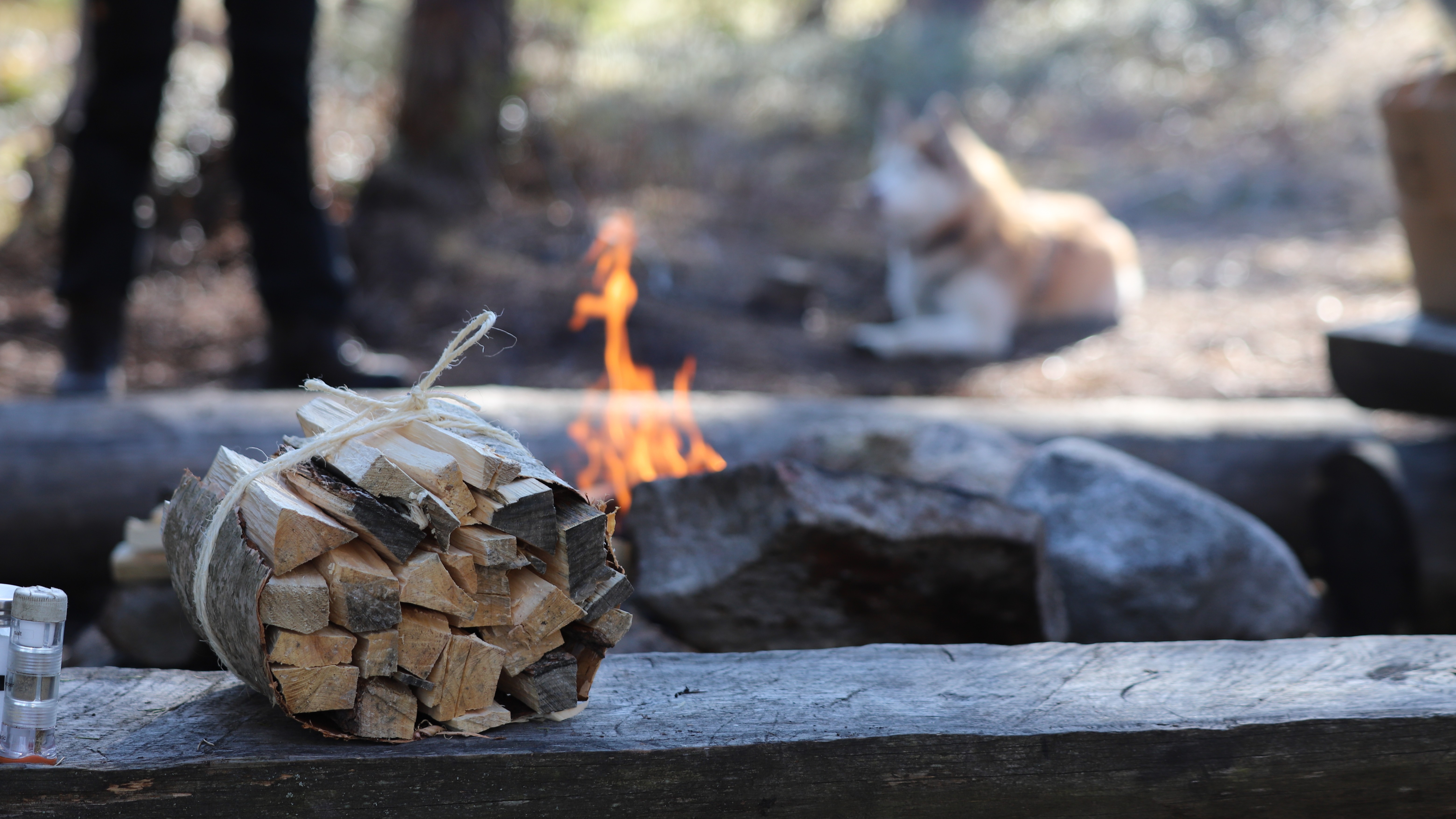 Camp fire with logs beside