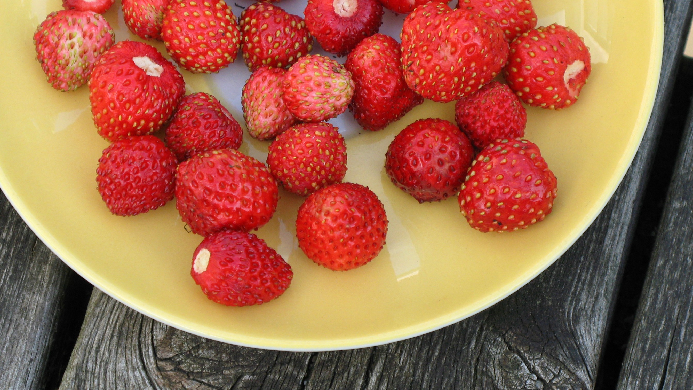 Foto av Grönt kulturarv®s smultron 'Norrlands smultron'. Fotot visar röda bär som ligger på ett gult fat som i sin tur står på ett träbord. Bären är av varierande storlek med gula frön utanpå.