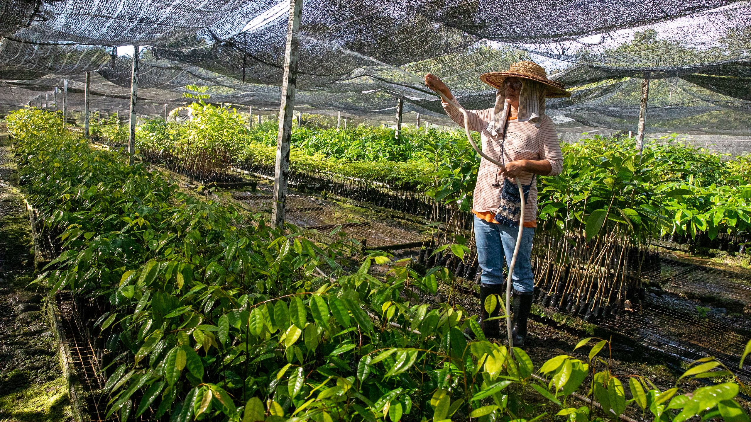 Woman watering plants.