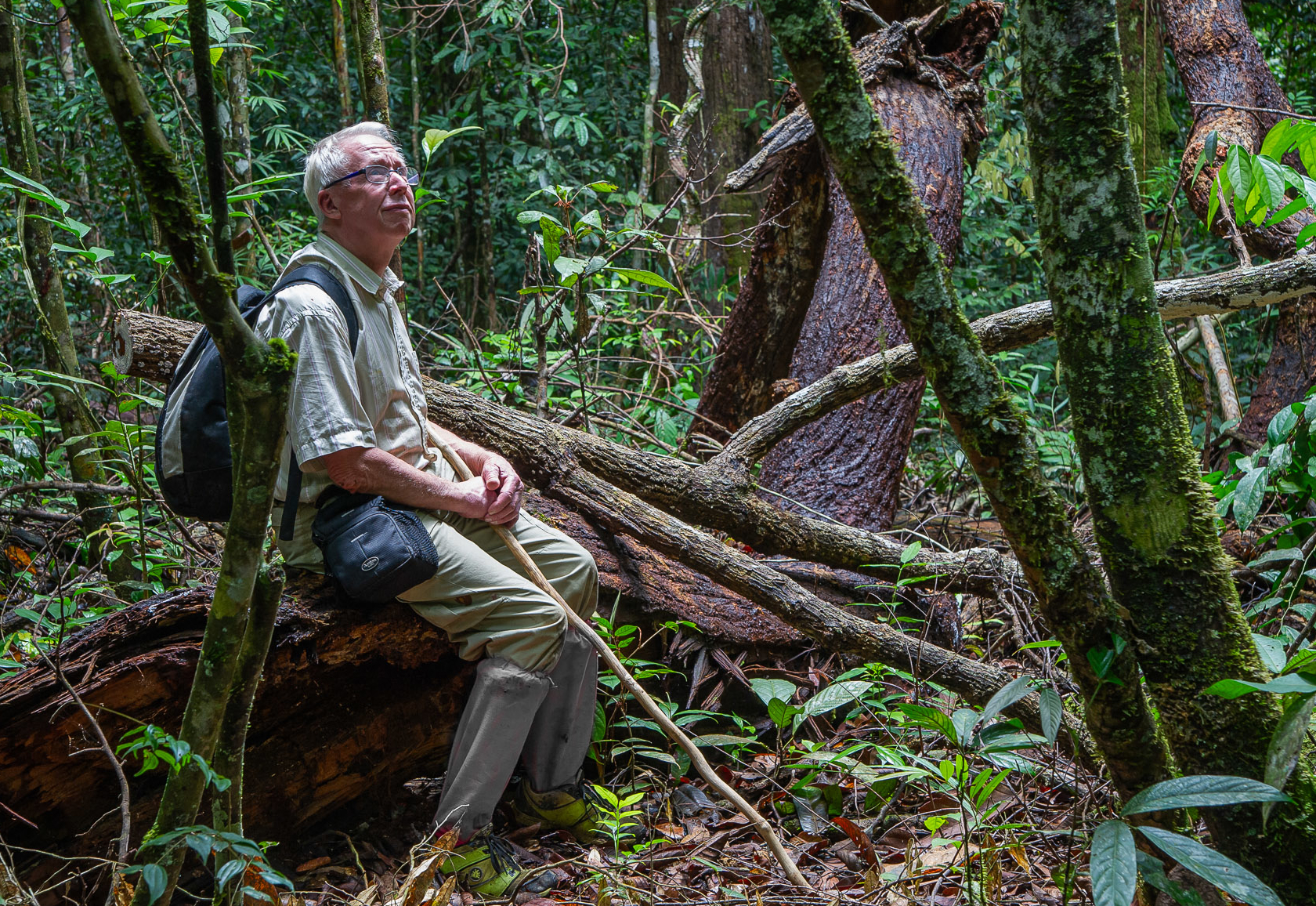 old man in the rain forest