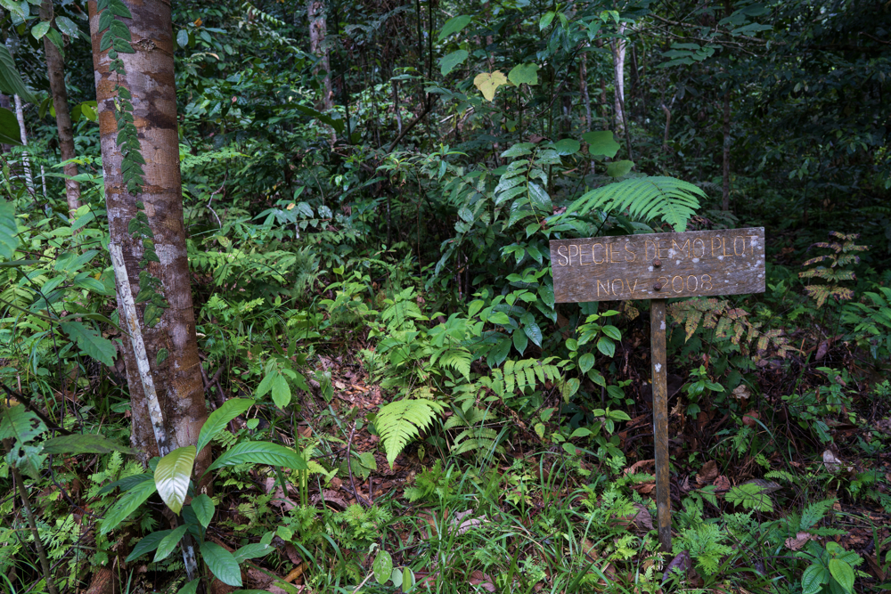 sign in a forest