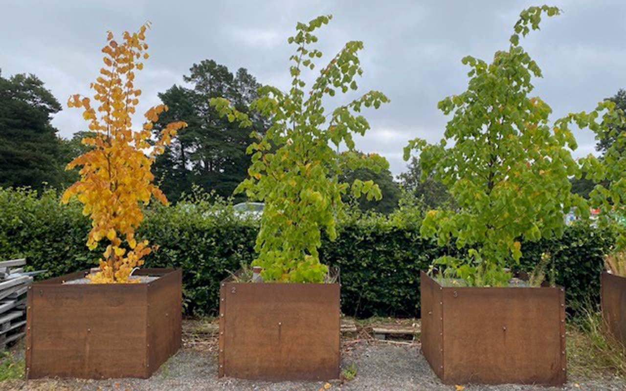 Bild på tre av testbäddarna