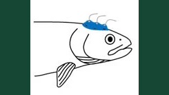 Skiss av en fisk som bedövas.