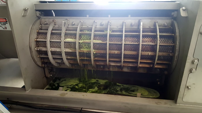 Utvinna komponenter, som proteiner, kostfibrer och fenoler, ur grön bladbiomassa