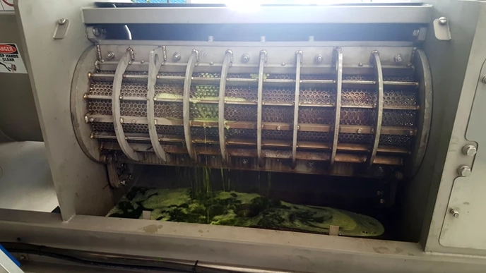 Utvinna komponenter, som proteiner, kostfibrer och fenoler, ur grön bladbiomassa