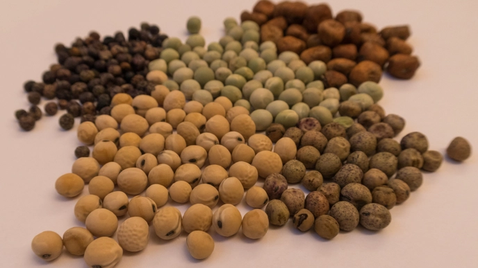 Peas in different colors.