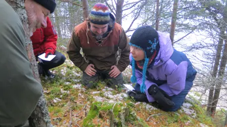Personer på marken vid växter