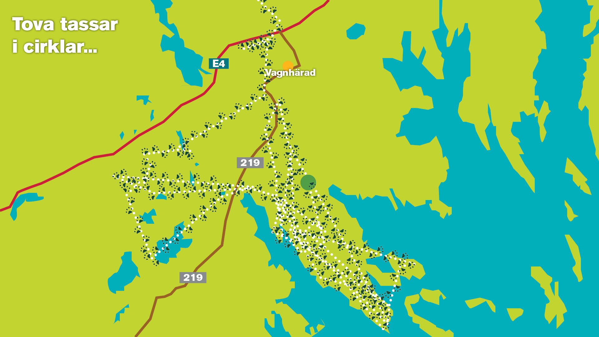 En stiliserad karta över del av mellansverige, som visar lodjuret Tovas färdväg under fyra veckor under september-oktober 2025. Hennes färd är marerkad med tassavtryck och en linje med punkter. Illustration.