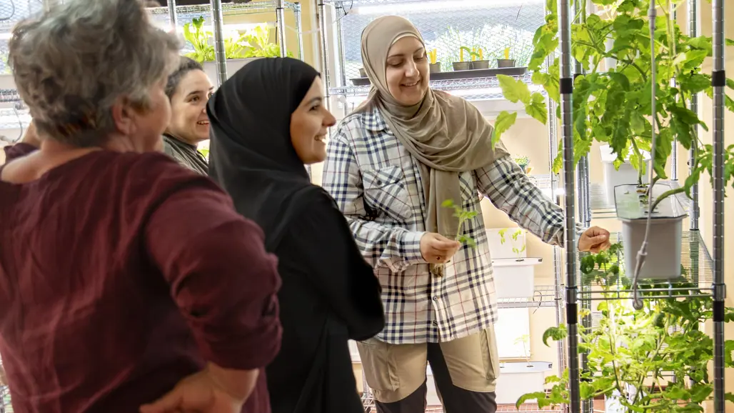 Foto på människor som odlar i källarlokal