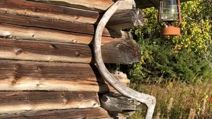 Timbered hut and old fashioned scythe and other tools