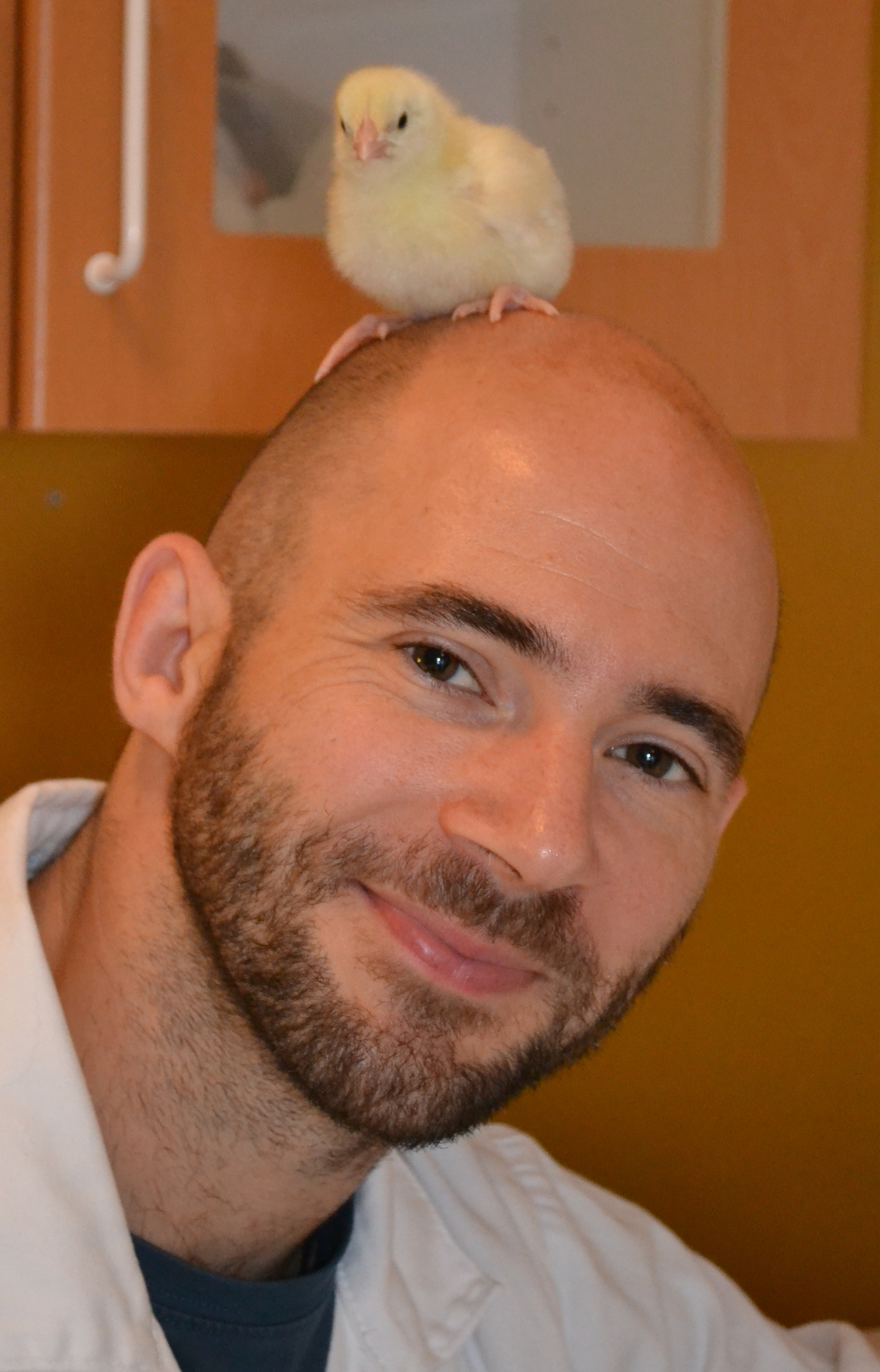 Portrait photo of Dominic Wright