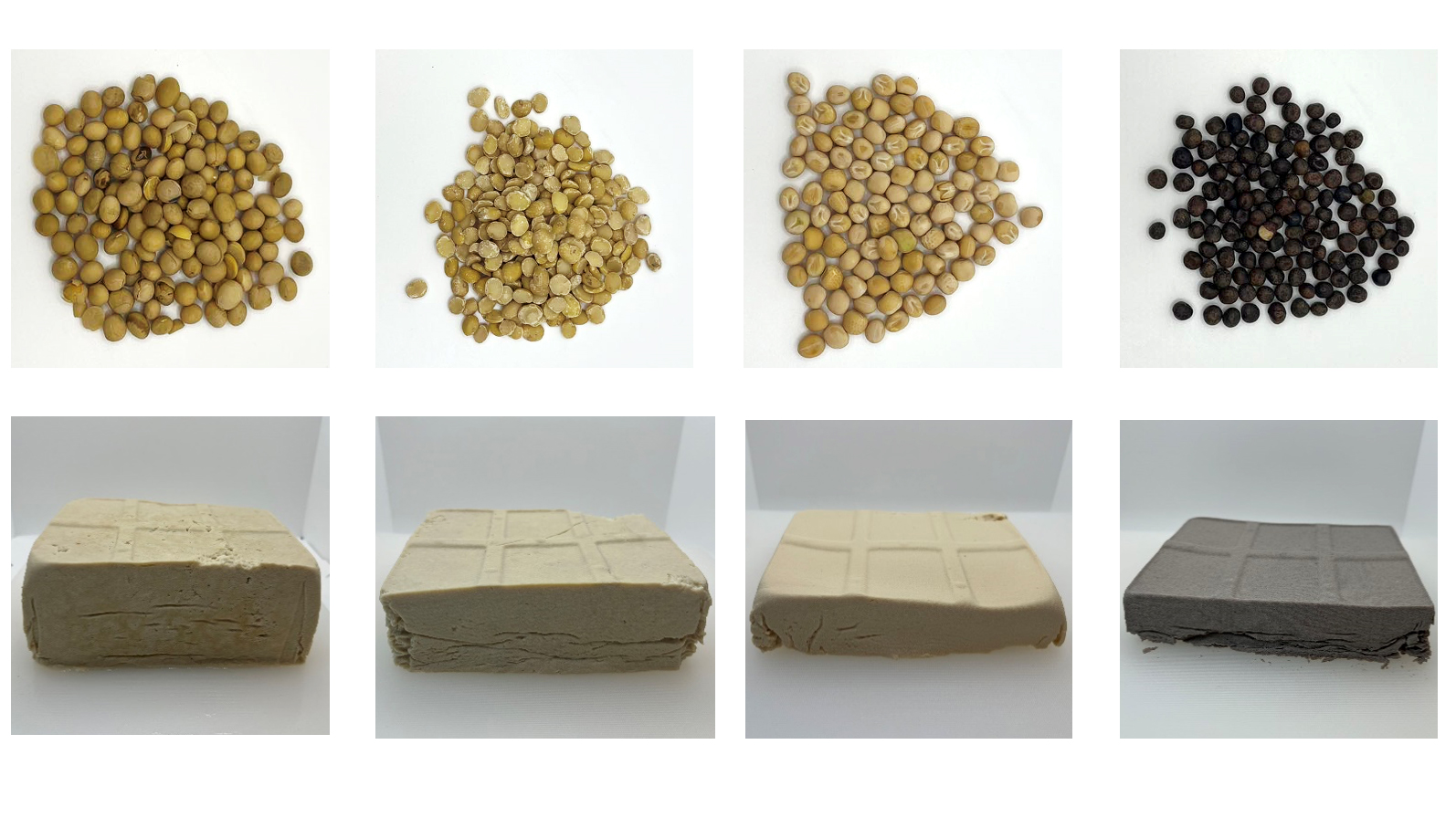 Bönor och tofu-liknande produkter av fyra olika sorter. Foto.