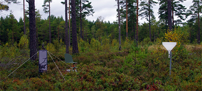 miljöanalys skog