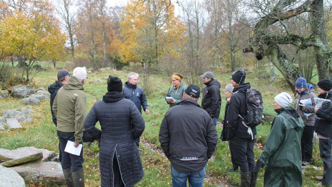 A few people stand in a circle in a pasture. The trees in the background have autumn colors.